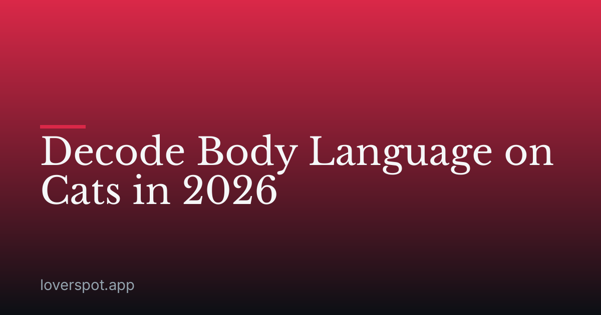 Decode Body Language on Cats in 2026