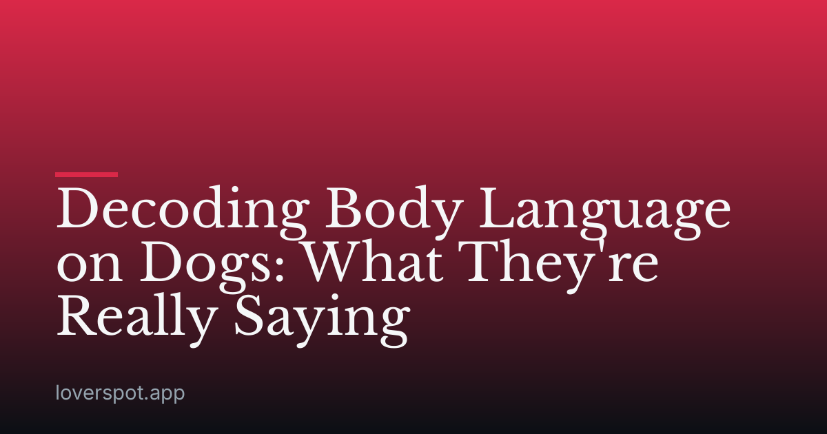 Decoding Body Language on Dogs: What They're Really Saying