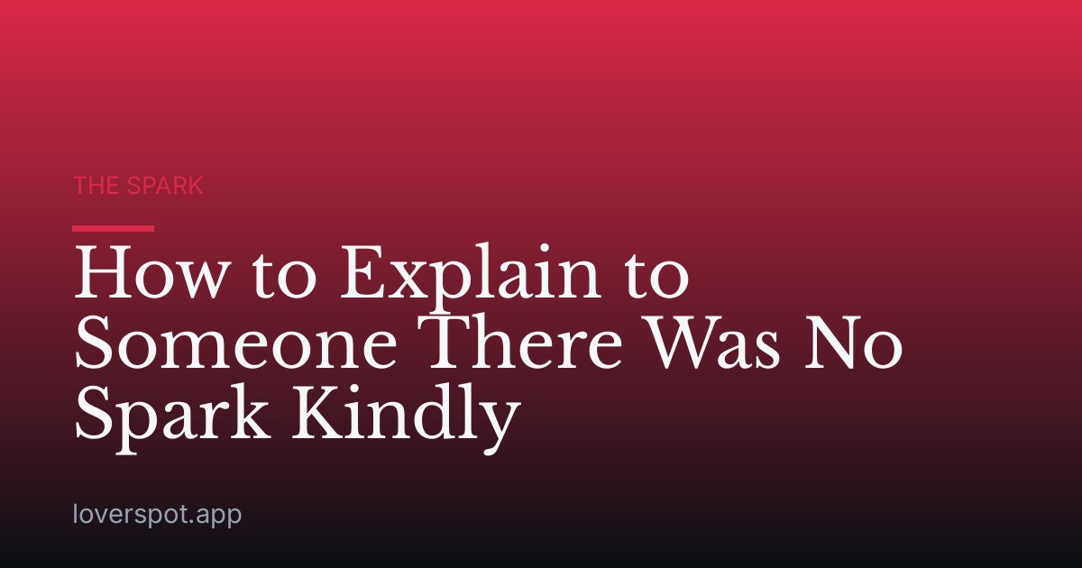 How to Explain to Someone There Was No Spark Kindly
