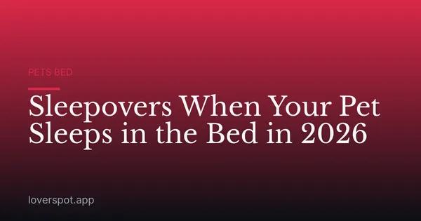 Sleepovers When Your Pet Sleeps in the Bed in 2026