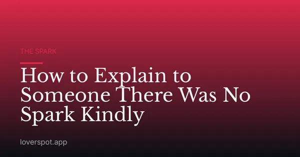 How to Explain to Someone There Was No Spark Kindly